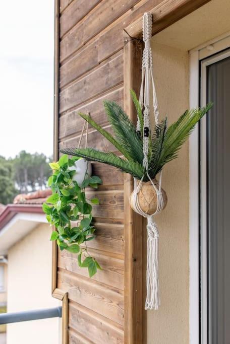 Appartement Des Grands Lacs サンギネ エクステリア 写真